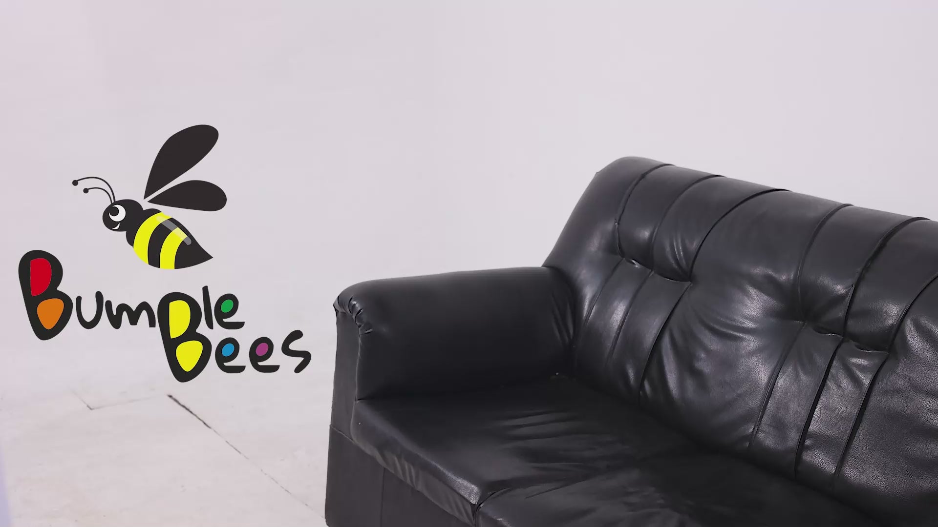 Load video: Bumblebees Brand Video